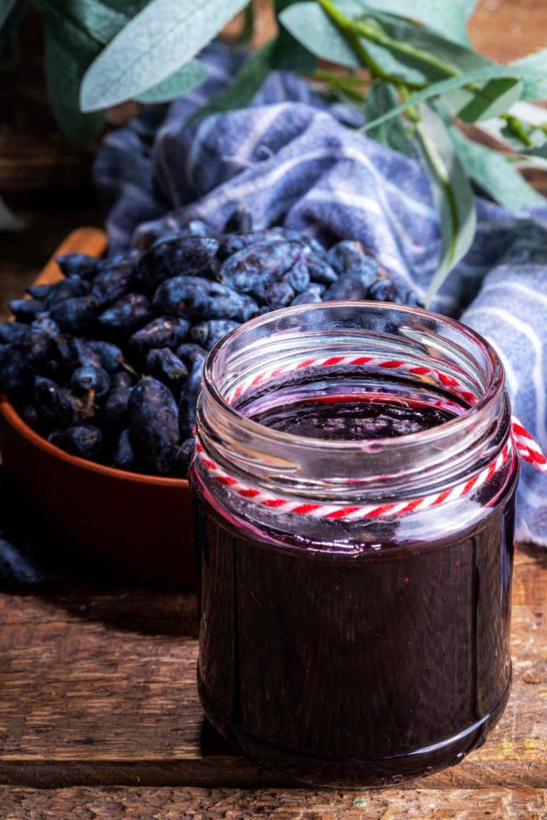 Fruit Bushes For Zones 2-8